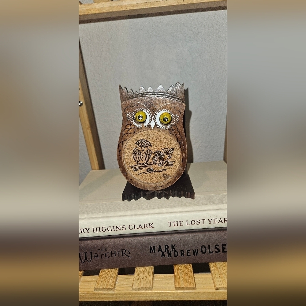 Mid Century Vintage Owl Coaster Set